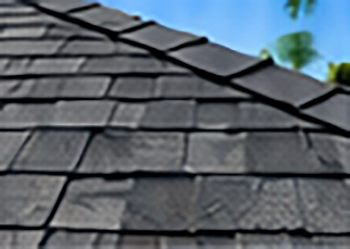 Shingle close-up
