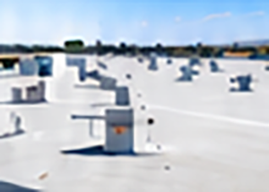 Waterproofed flat roof